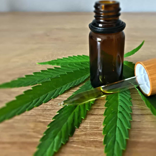 What Is The Difference Between THC and CBD?