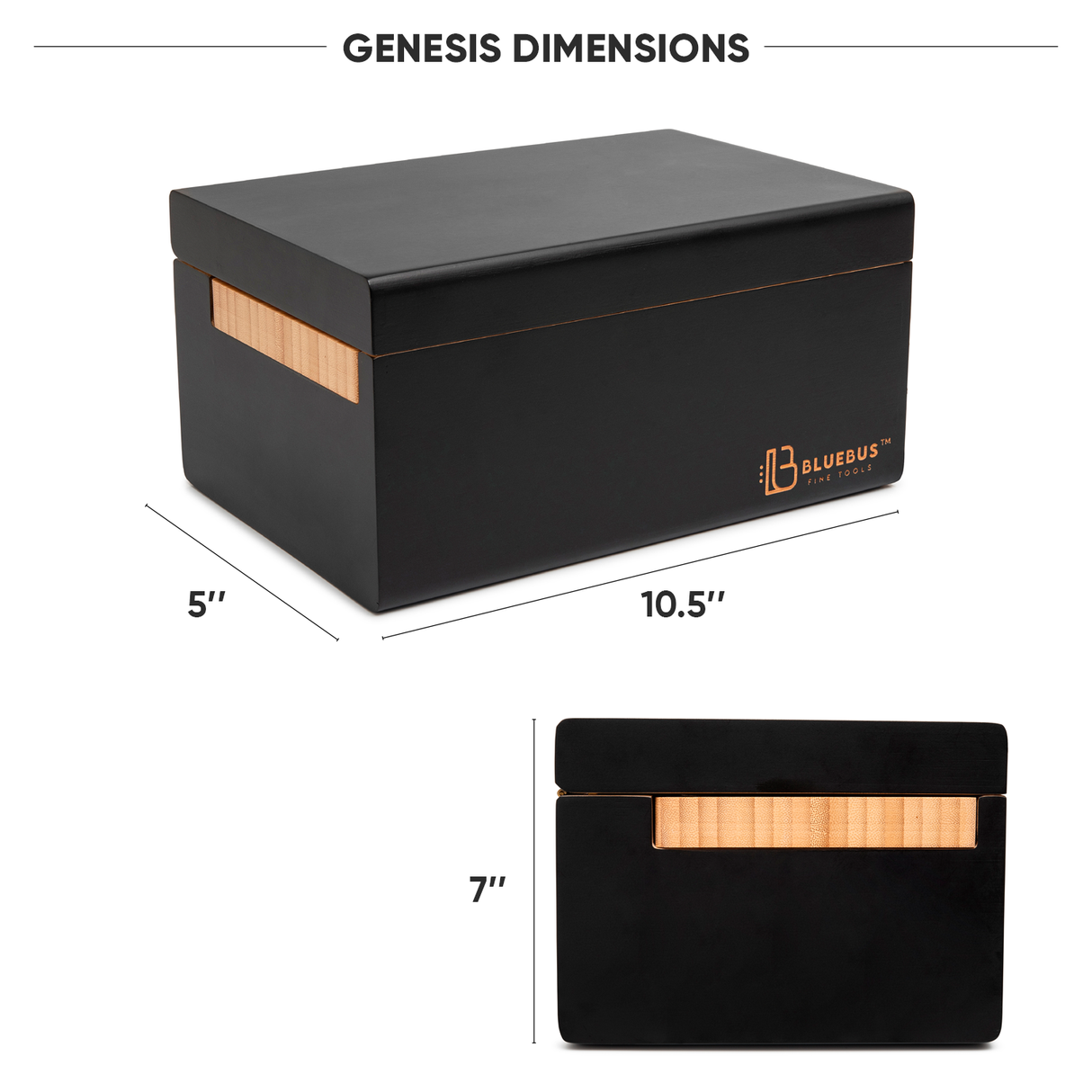 GENESIS storage stash Box