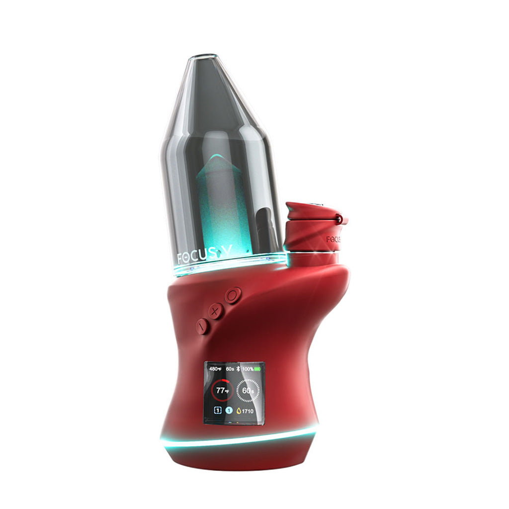 Focus V Carta 2 Bordeaux