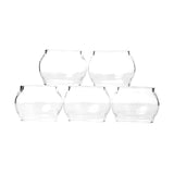 Medusa Customs Replacement Glass Tanks